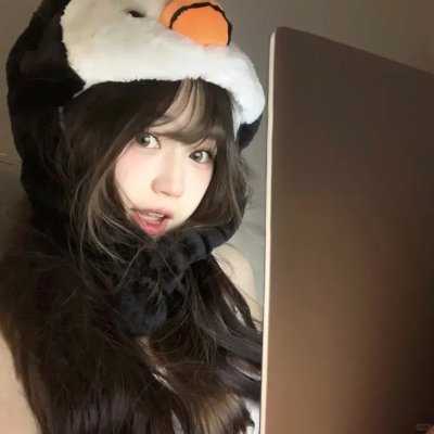 来自日本的机器狗